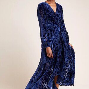 Hutch Daniella Velvet Maxi Dress